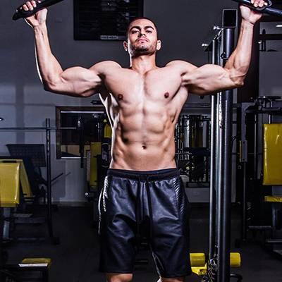 LENDEL DINIZ