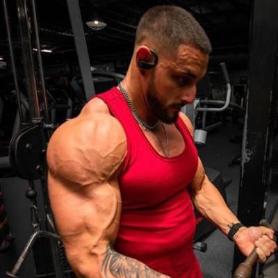 LUIS ESTRADA