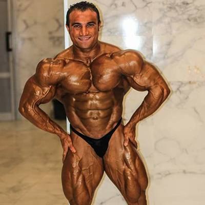 MAHMOUD EL ZAYAT