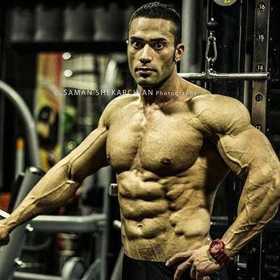 MOHSEN NAVAEI