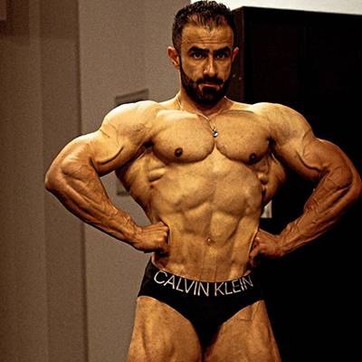 MOJTABA ZABIHI