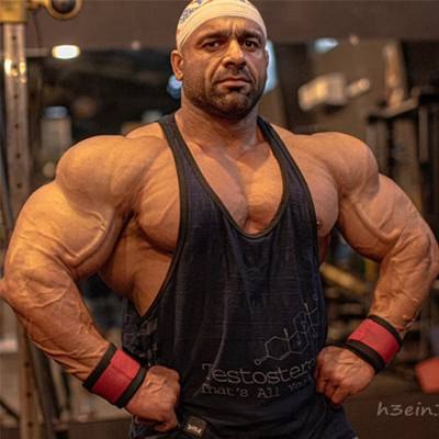 MORTEZA MASHAYEKH KORDKOLA