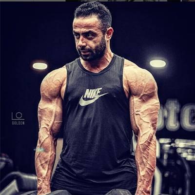 NARIMAN RAMZANI