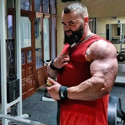 NOVAK LIPOVAC