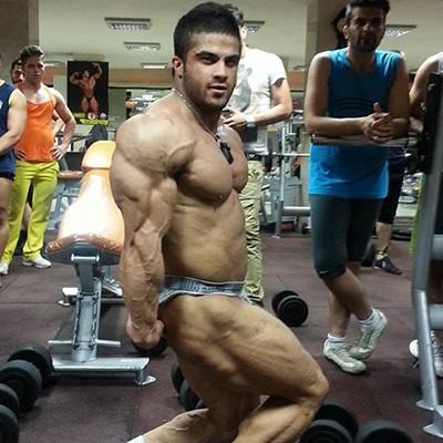 OMID SOLEIMANI GHAHROUDI