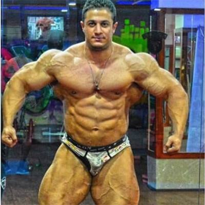OMID HATAMI