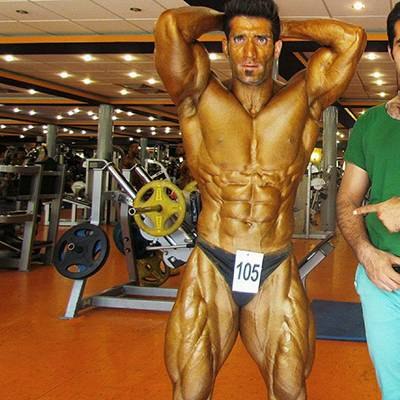 SAJAD HEIDARI CHEGENI