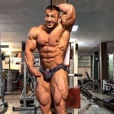 ABOLFAZL MASHAYEKHI
