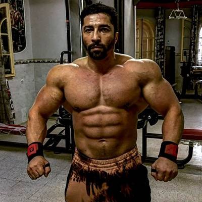 ADEL SENANI