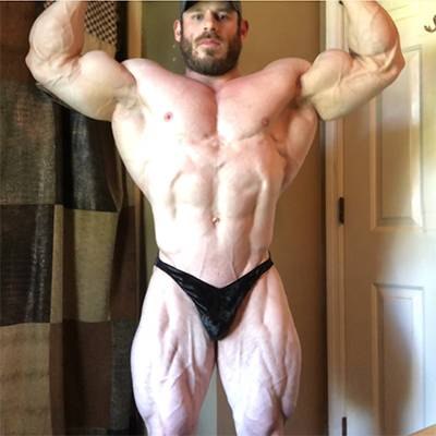 STEVEN WAIN