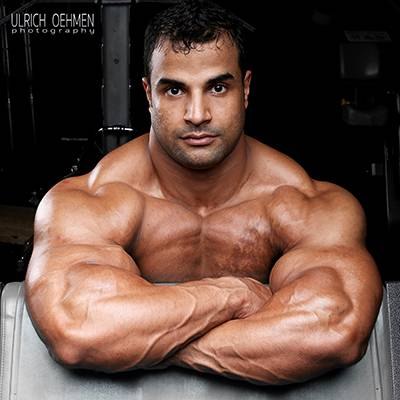 AHMED TALAT EL SADANY WARDANY