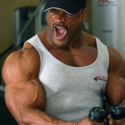 WILL HARRIS