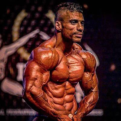 YASSIR MOHAMADE ALHAJ