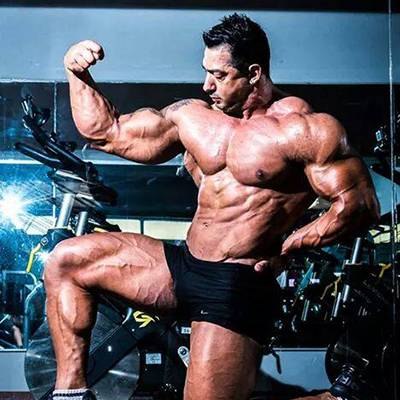 ALVARO NELSON  CANDIA MARTINEZ