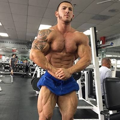 AUSTIN MORELL