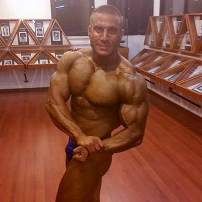 AVIV SHAFRIR