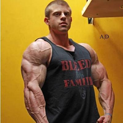 DANIEL NOCCIOLI